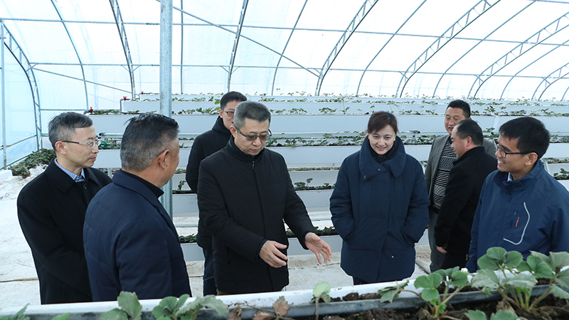 й5657˹(ɷ)޹˾-ٷվ